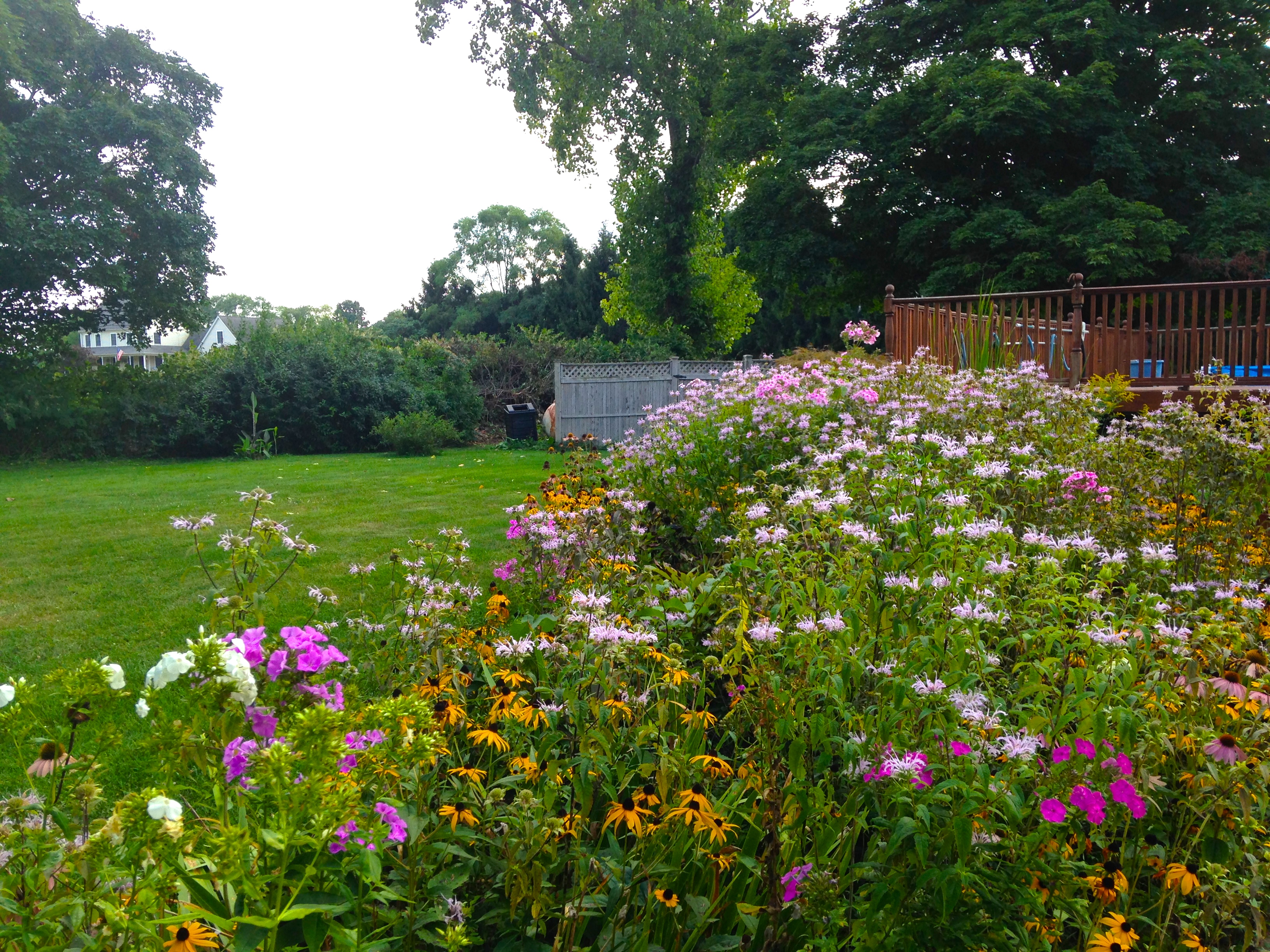 garden flowers