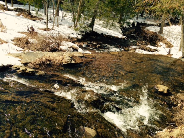 Treading Roiling Water