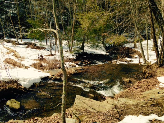 Snowy Waterfall