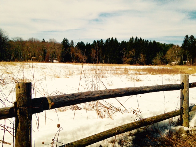 Winter Fence