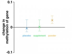 Turmeric Affects SLC6A15 Gene