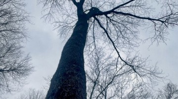 How Realigning With The Rhythms of Nature Brought Me Back to My Body