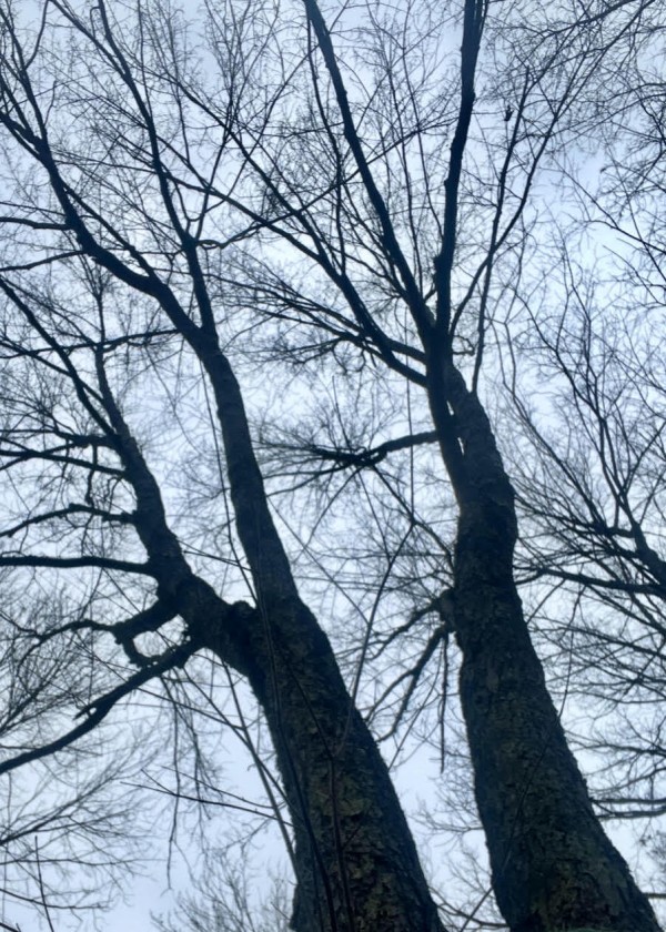 Why Your Practice Looks Different From Mine