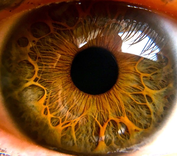 Photo by Matyi Molnár-Sáska on Unsplash