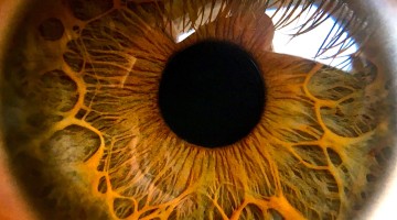 Sharp Focus Low Context